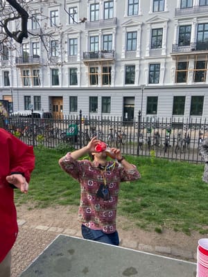 .:.:.Park Fun.:.:.